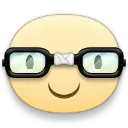 05_emoji_nerd