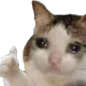 thumbsup thumbsup