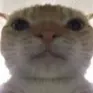 sus
