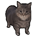 :__: