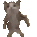 cat_Dance