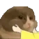 cat_Cheeks