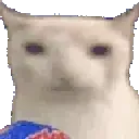 cat_EatWatch