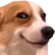 rd_cookie_ahm