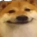 dog_bruh dog_bruh