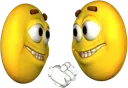 businessjoes