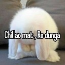 eehh custom emote | .✦ ݁˖  𝐃𝐈𝐑𝐄𝐖𝐎𝐋𝐅 𝐃𝐄𝐍 .✦ ݁˖