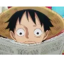 Luffy_Reading