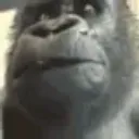 shocked