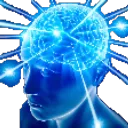 brain