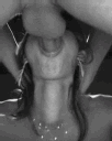 Sex animated GIF emoji from /Obey 18+