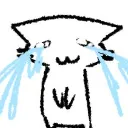 zSopping_wet_cat