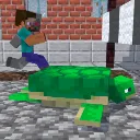 turtlerace