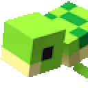 Tiny_Turtle