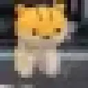 cat_Explode
