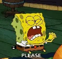 please