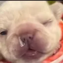 wink