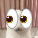 observing