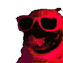 8928pugparty