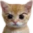 :angyStare: