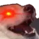 rd_cookie_laugh
