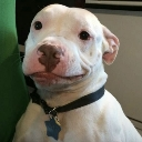 emoji_8 Discord sticker from ESTRELLAS 💫