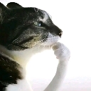 emoji_14 Discord Emoji - ESTRELLAS 💫