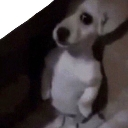 emoji_13 custom emote | ESTRELLAS 💫