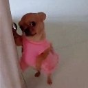 emoji_17 Discord Emoji - ESTRELLAS 💫