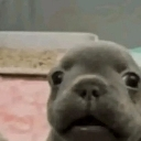 emoji_18 Discord sticker from ESTRELLAS 💫