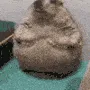 the_toucher