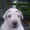 emoji_26 Discord sticker from ESTRELLAS 💫