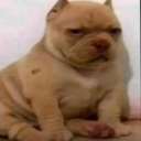 emoji_27 Discord Emoji - ESTRELLAS 💫