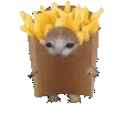 gatopapita