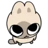 cat_stare
