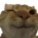 catWink