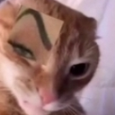 gato_sus Discord emoji