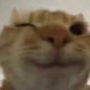 gatito_wink Discord emoji