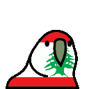 lebanonparrot