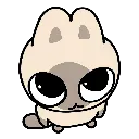 KittyStare