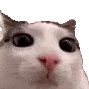 plink