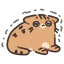 scared_kitty_shaking