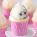 cupcake_seal