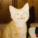 emoji_28