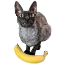 PixelBanana