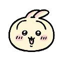 void_usagihappy
