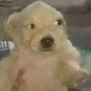 emoji_40 Discord sticker from ESTRELLAS 💫