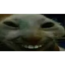 xdd