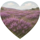 98563landscapeheart
