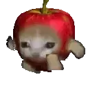 cat_apple_run